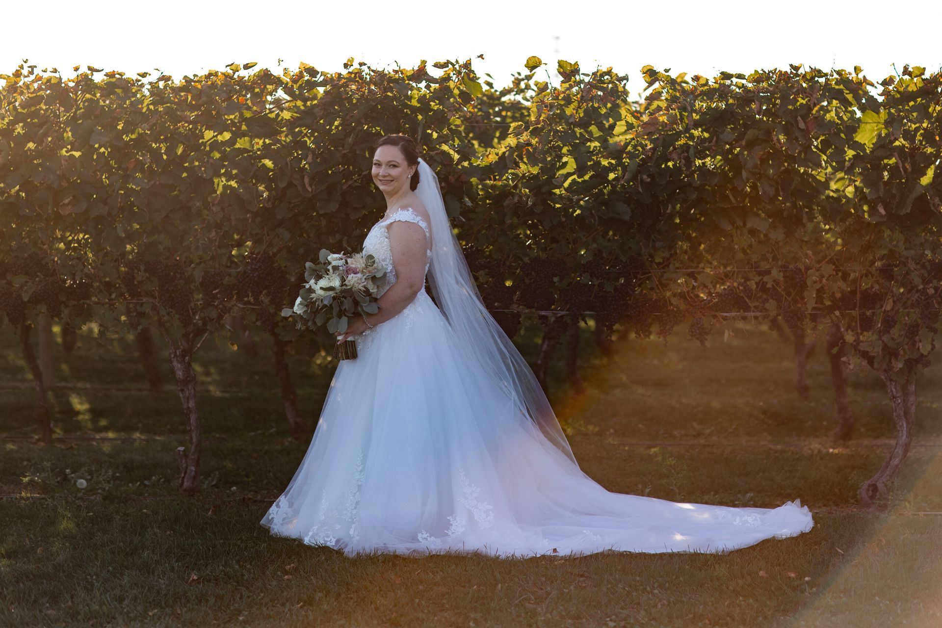 A bride in a wedding dress and veil is standing in a vineyard holding a bouquet of flowers.