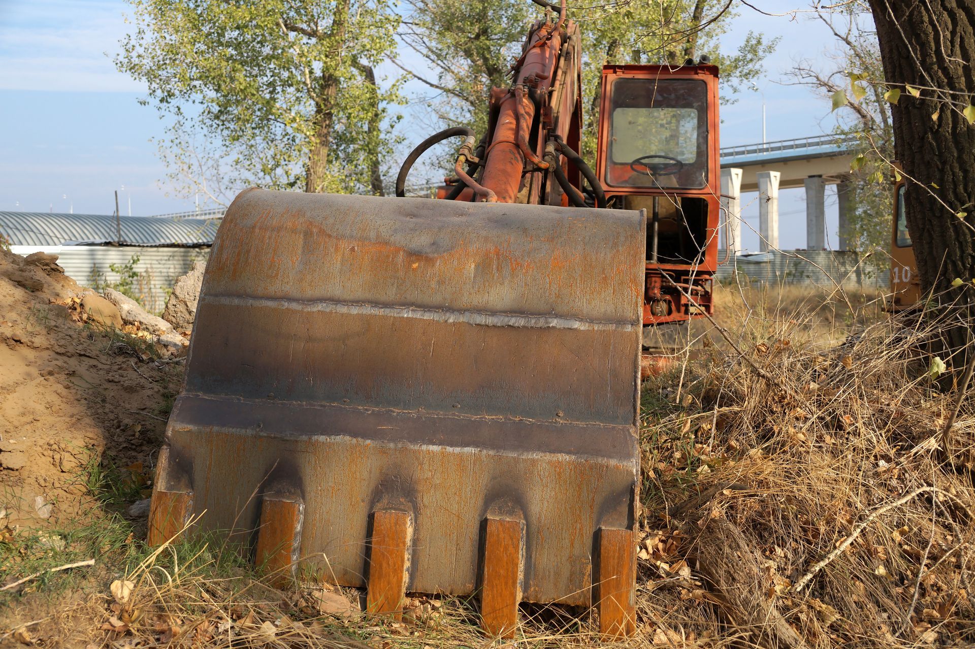 A rusty excavator bucket is sitting in the dirt near a tree