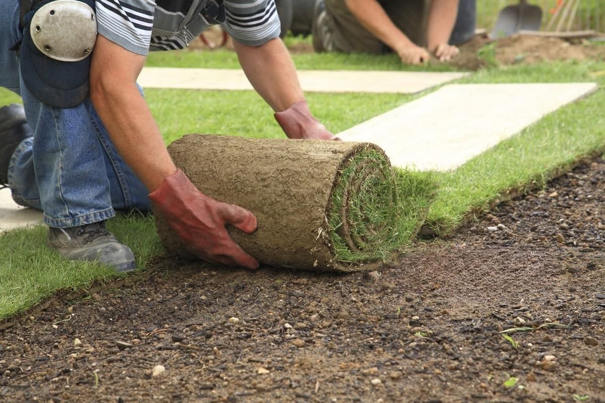 A man is rolling a roll of grass on the ground.