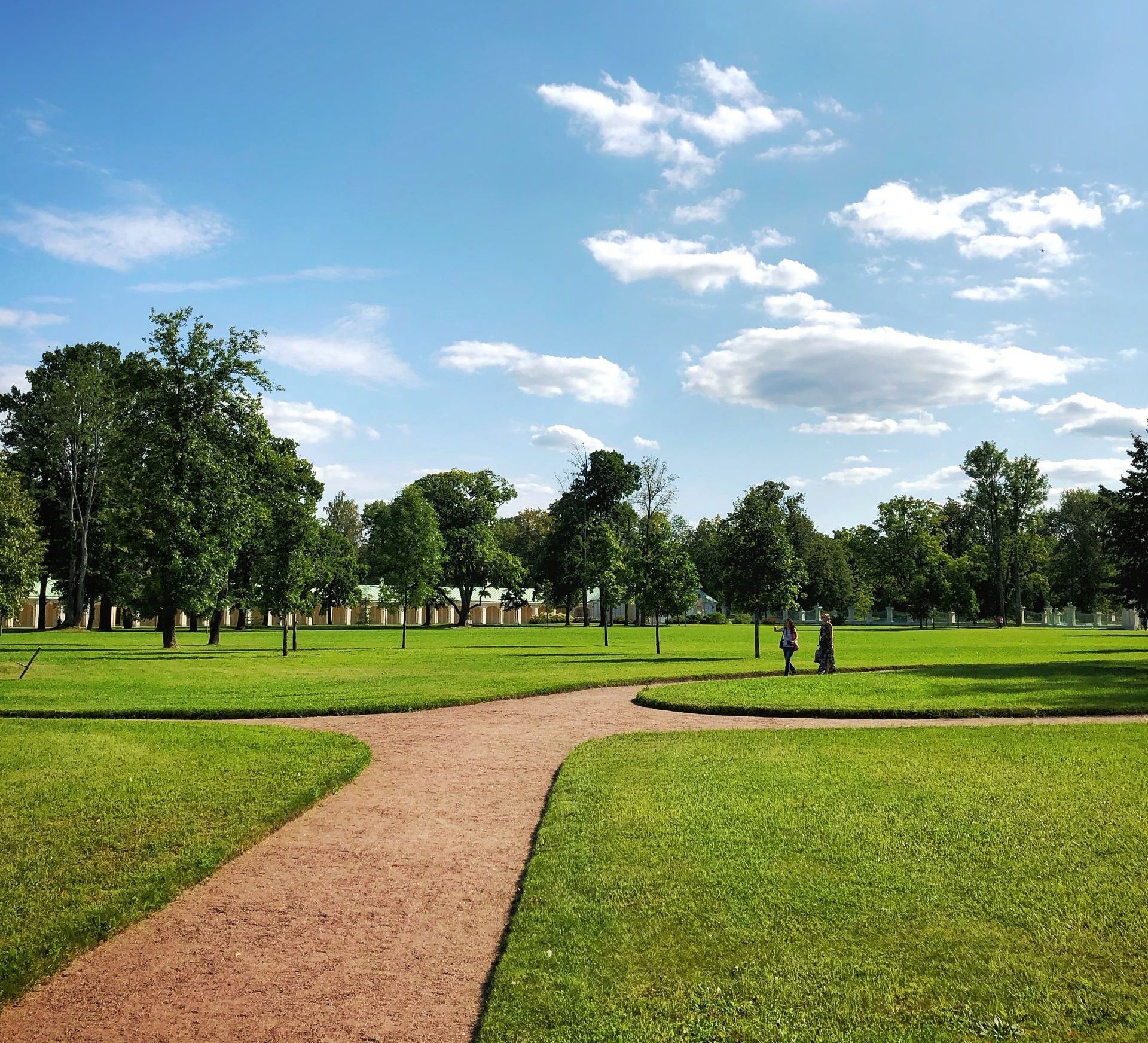 A dirt path in a park with trees on both sides