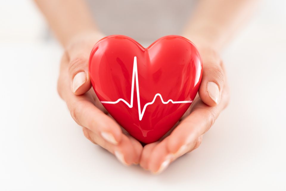 individual holding heart in hand