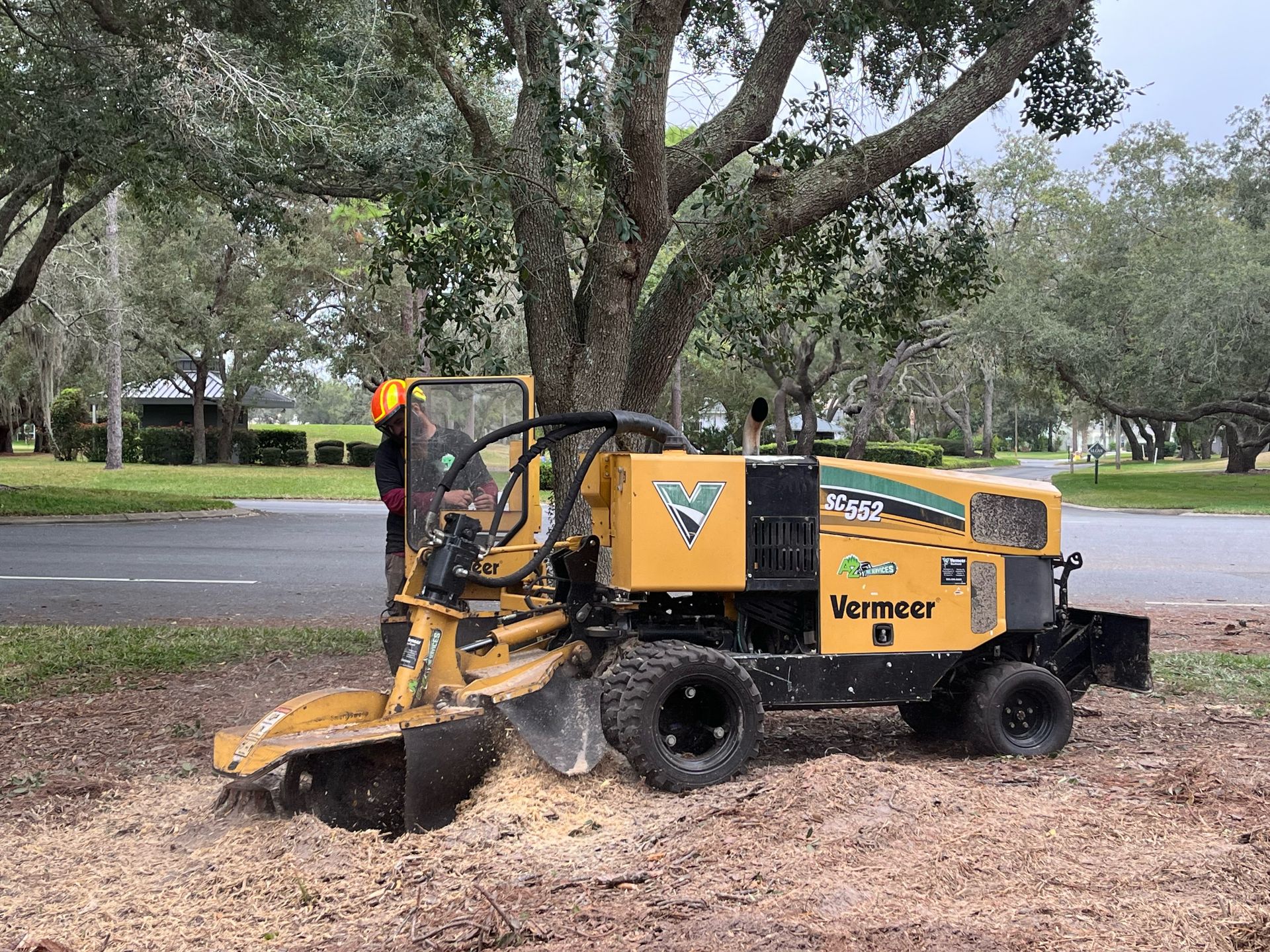 AZ Tree Services