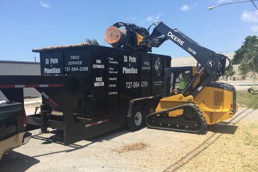 After Tree Service - Tree Trimming, Removal and Stump Grinding in St. Petersburg, Florida