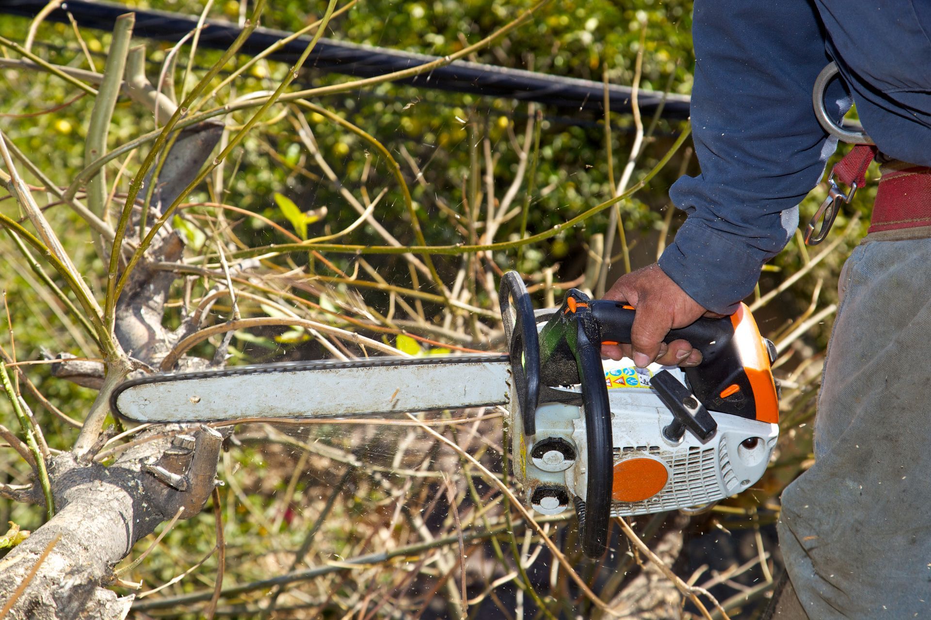 A man is cutting a tree branch with a chainsaw.