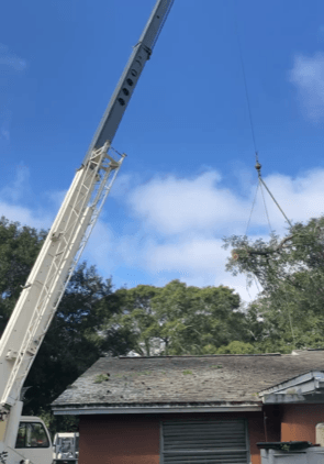 Crane Removal - Tree Trimming, Removal and Stump Grinding in St. Petersburg, Florida