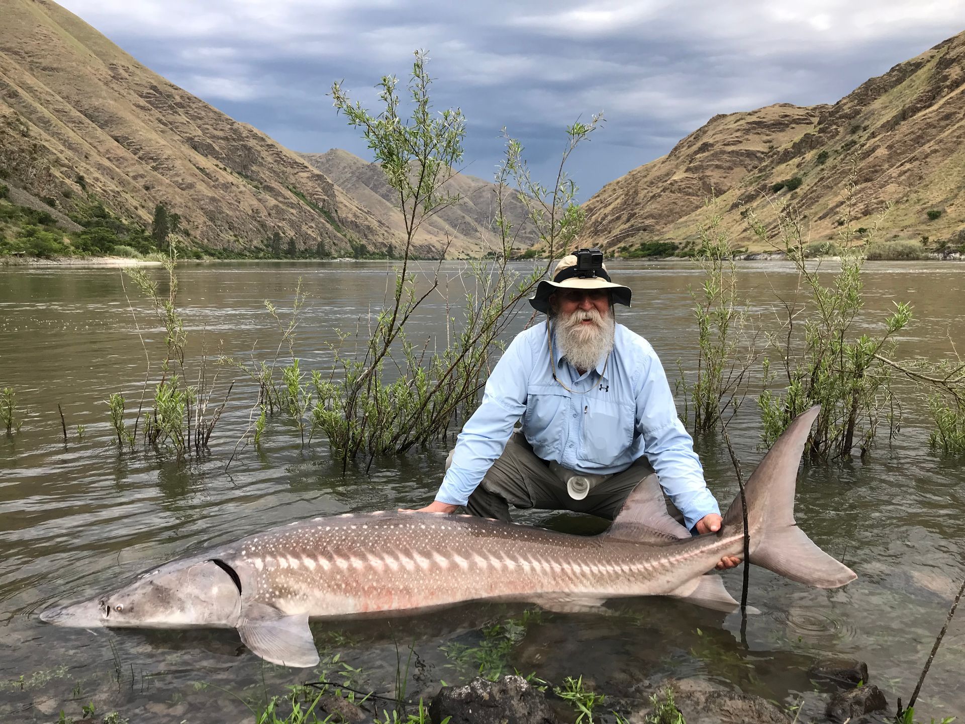 spring sturgeon fishing