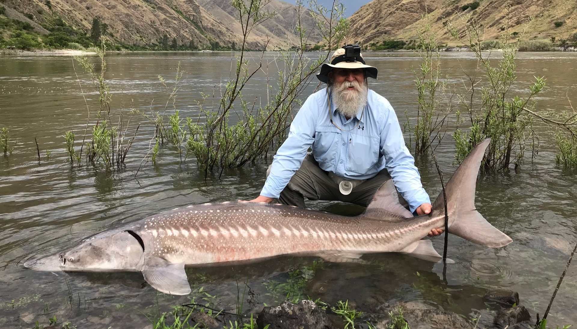 spring sturgeon season