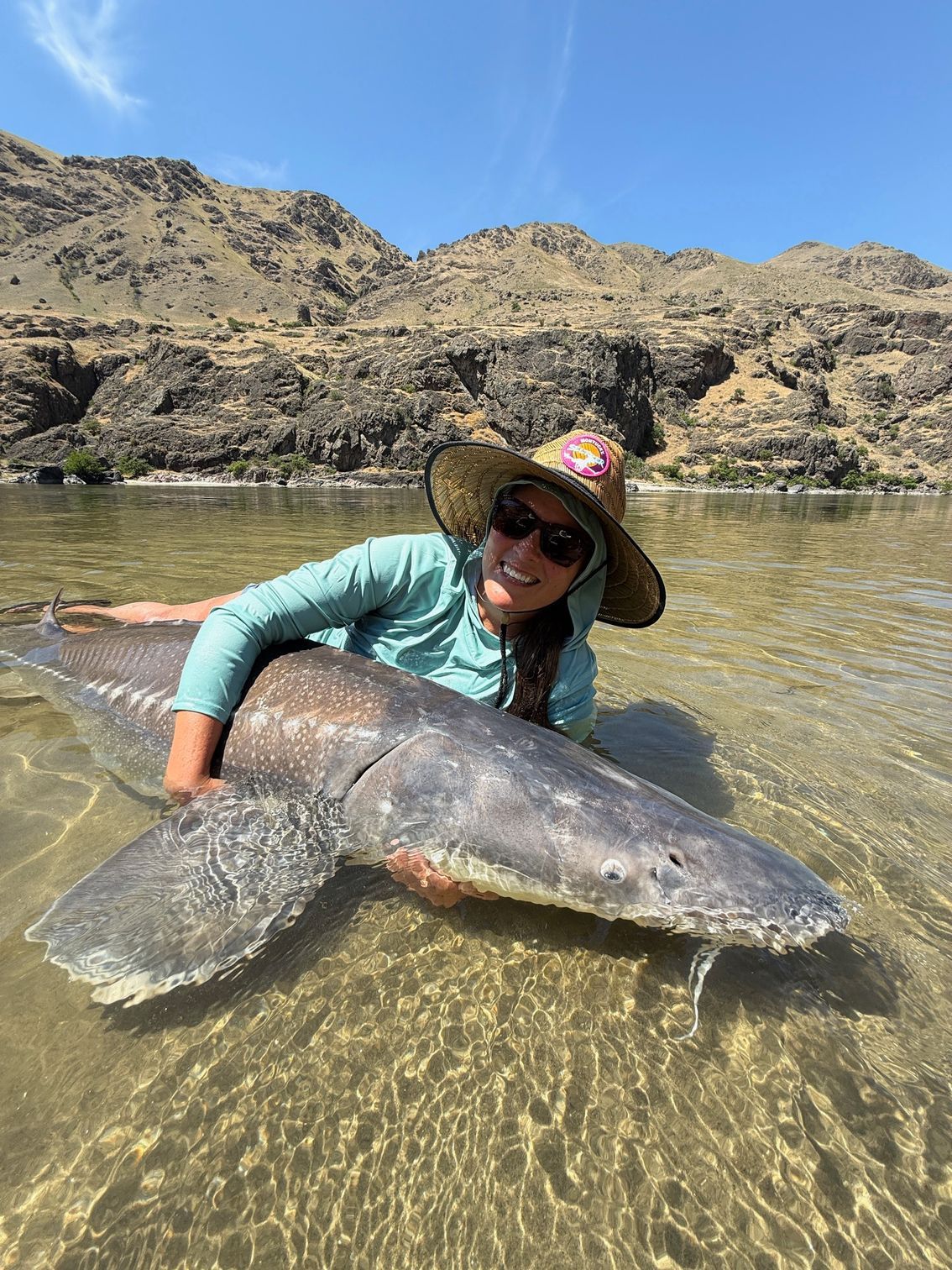 sturgeon client