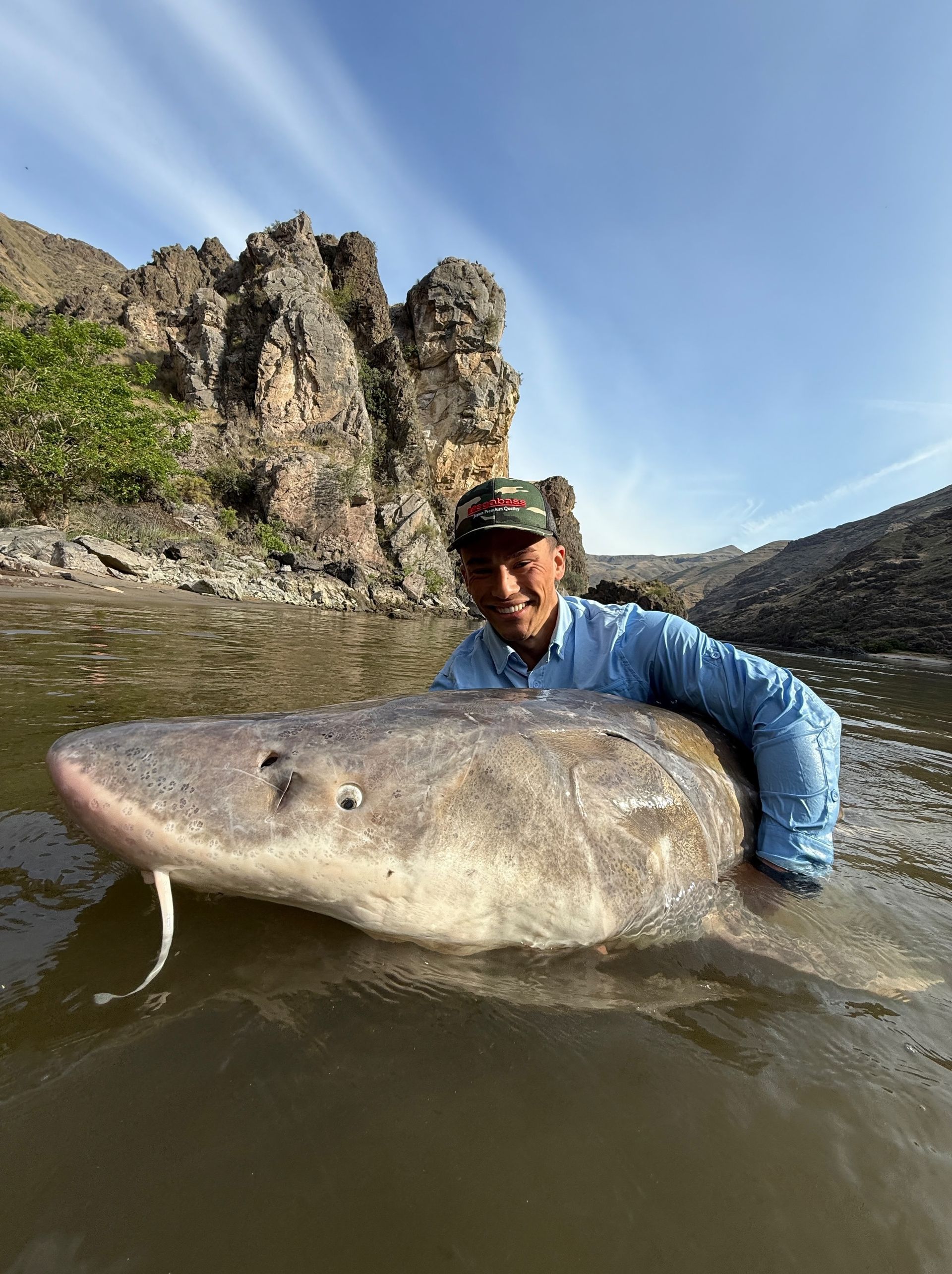 big sturgeon caught on the snake river
