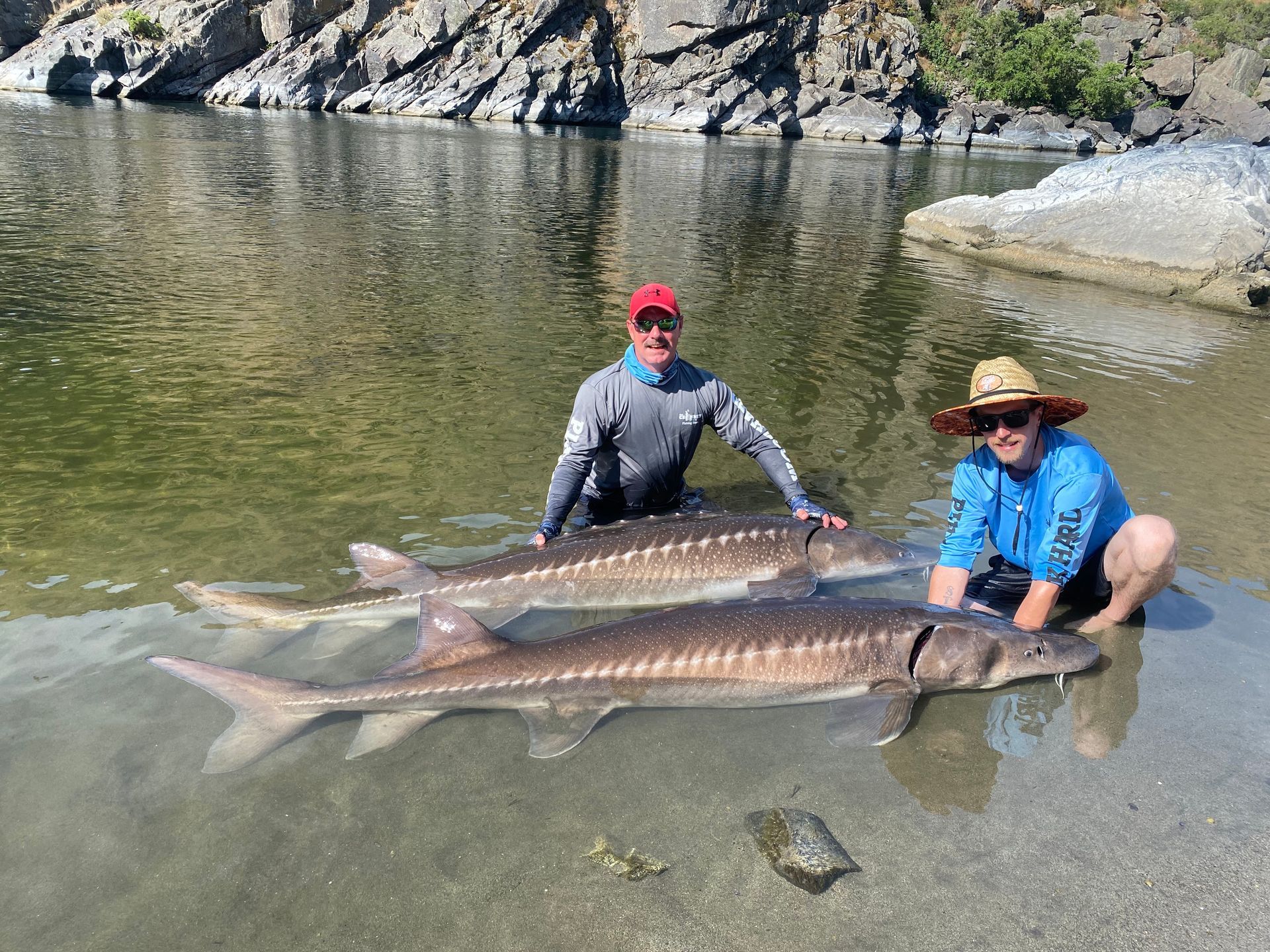 giant sturgeon fishing