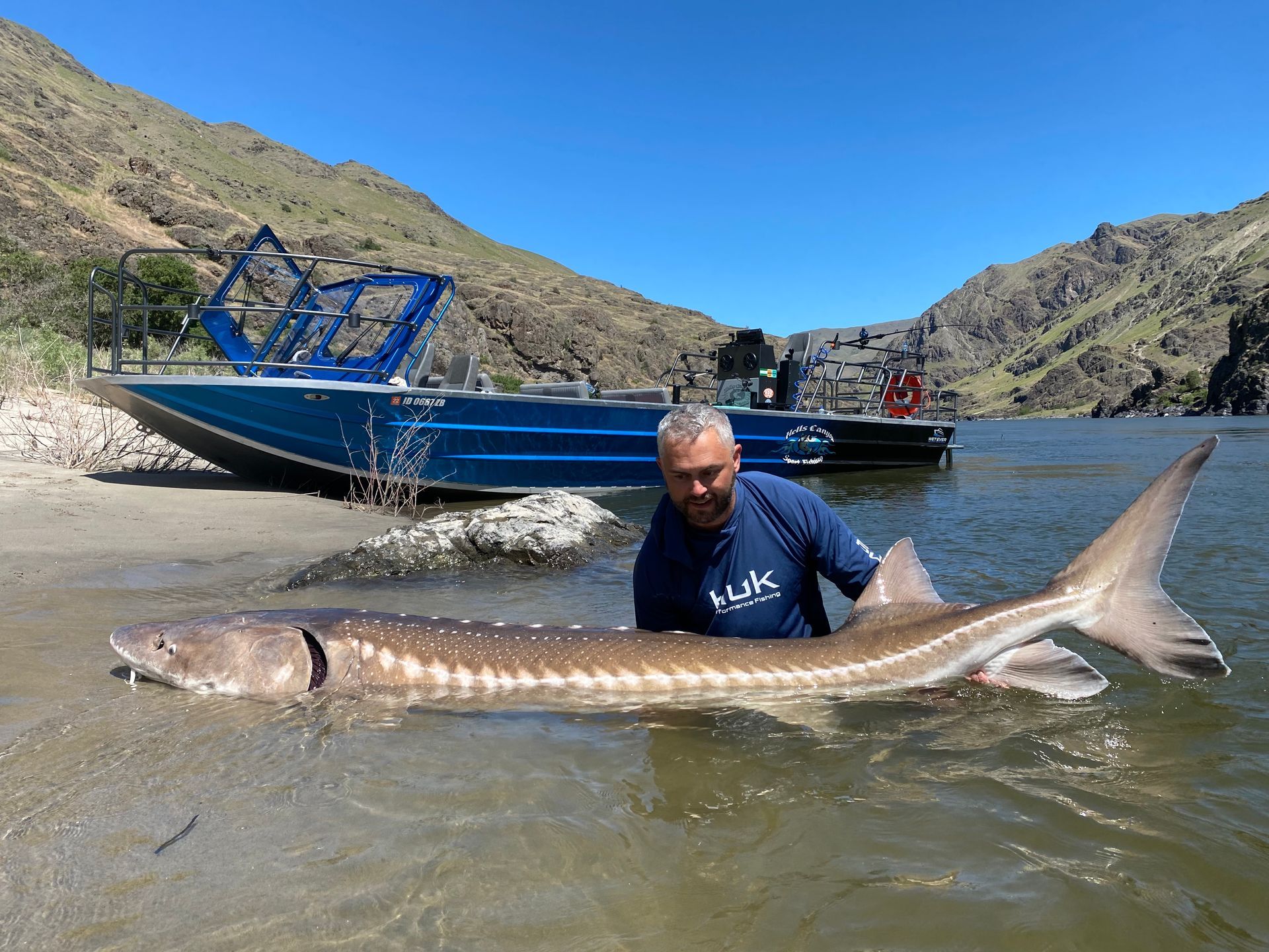 giant white sturgeon snake river ID