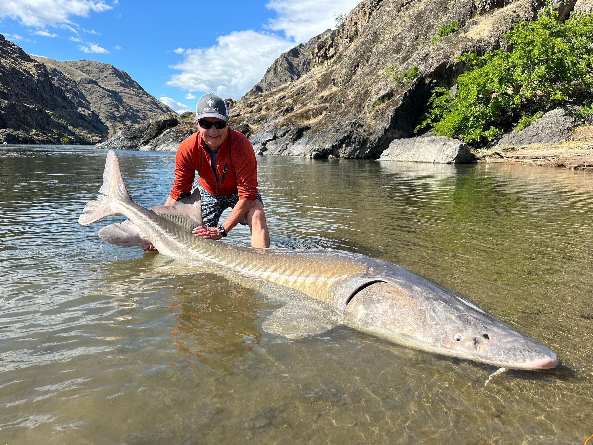 big sturgeon