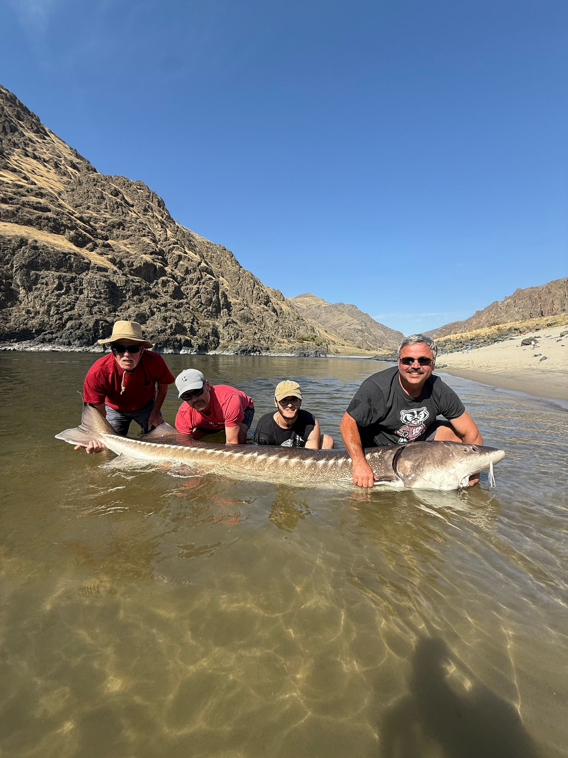Spring Sturgeon Fishing ID