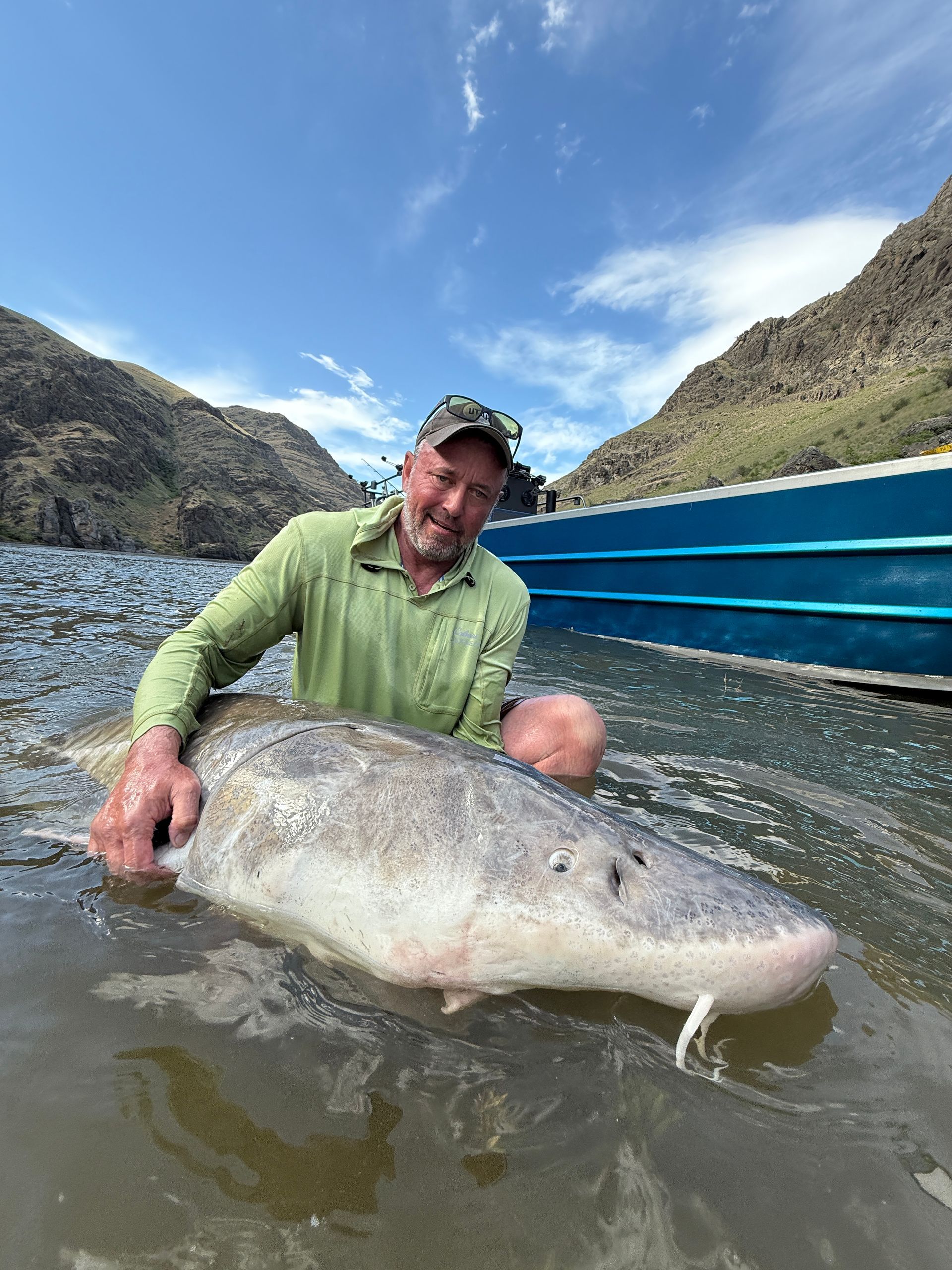 giant sturgeon caught Idaho