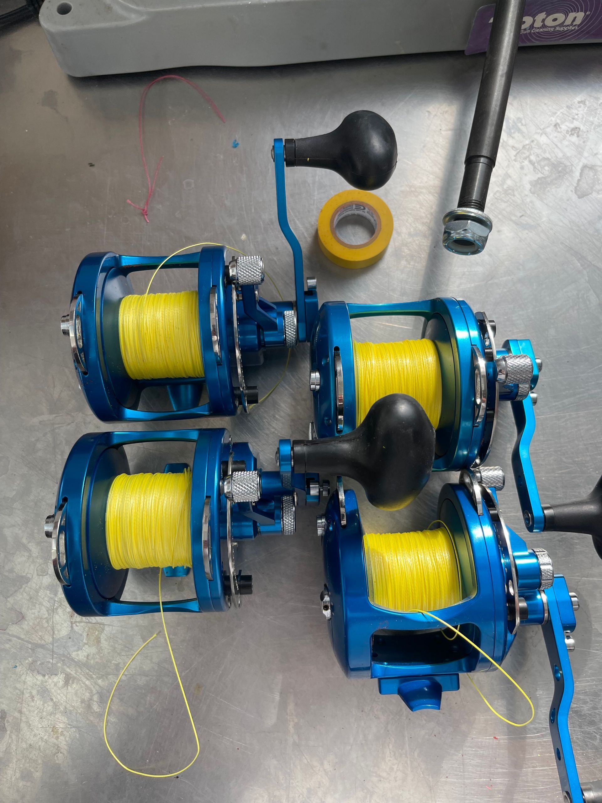 fishing reels for sturgeon