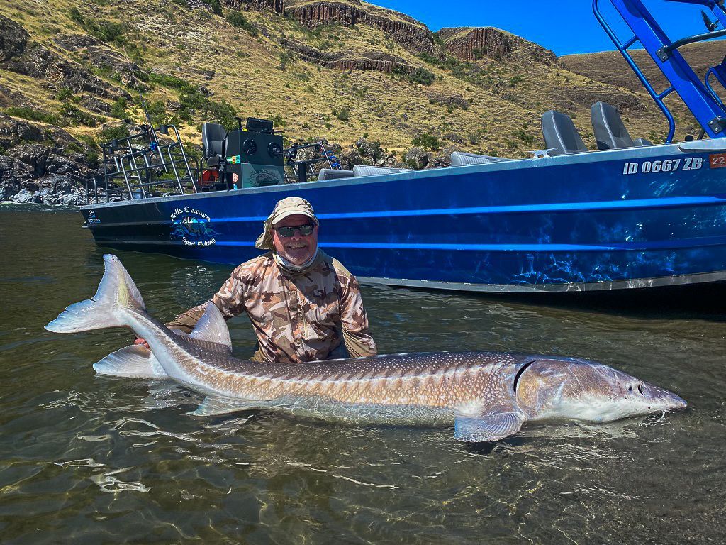sturgeon caught by our guides