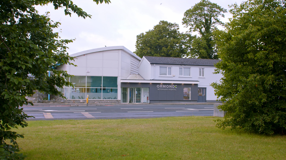 White building with curved roof and glass windows, fronted by a dark gray entrance and a grassy lawn, trees in the foreground.