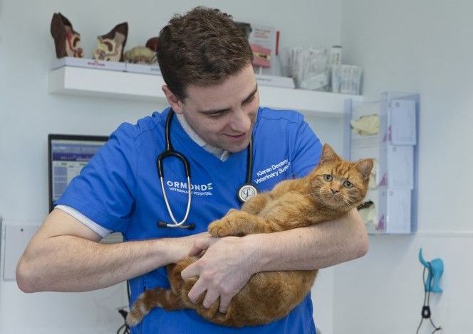 Veterinarian in blue scrubs holding an orange tabby cat. They're both smiling in a clinic setting.