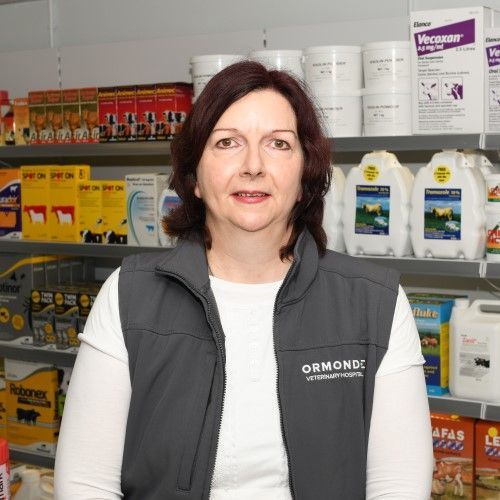 Woman in a vest stands in a store with shelves of products.