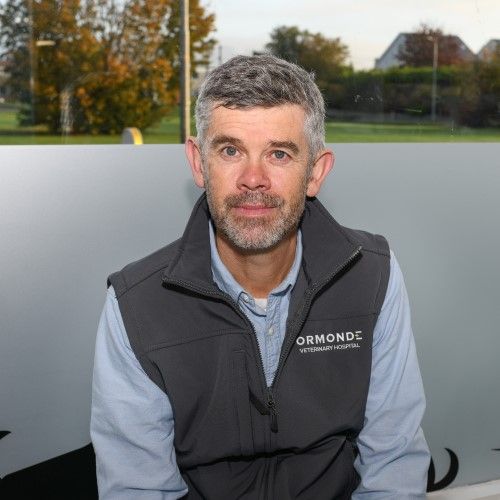 Man in gray vest, light blue shirt, outside, looking at camera.