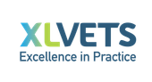 Logo for xlVets, in black text with a gray 