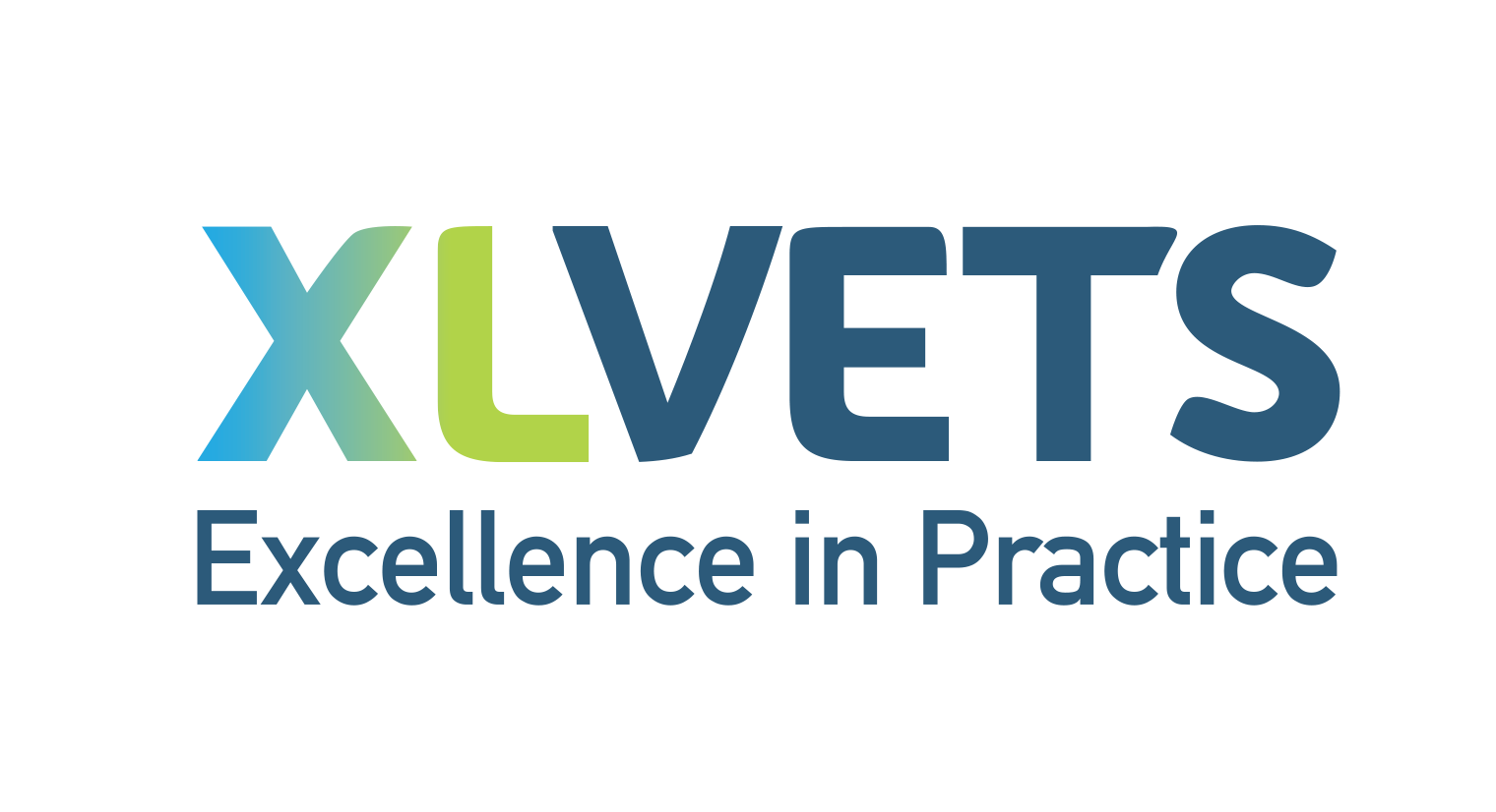 Logo for xlVets, in black text with a gray