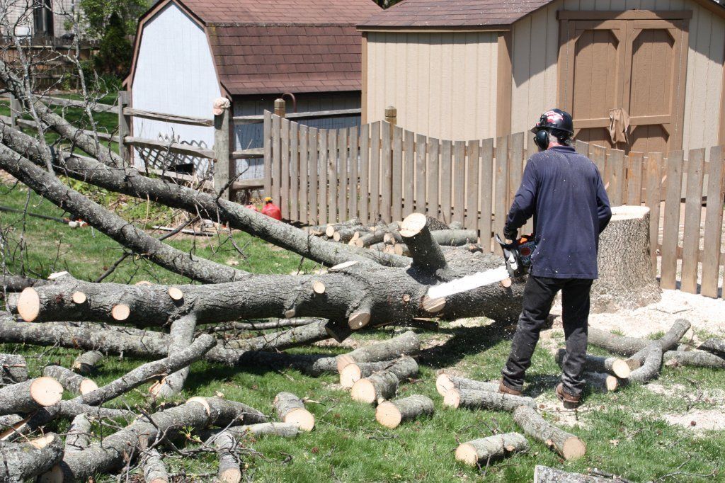 Removed Tree Trunks — Westerville, OH — W. E. Miller Tree Service