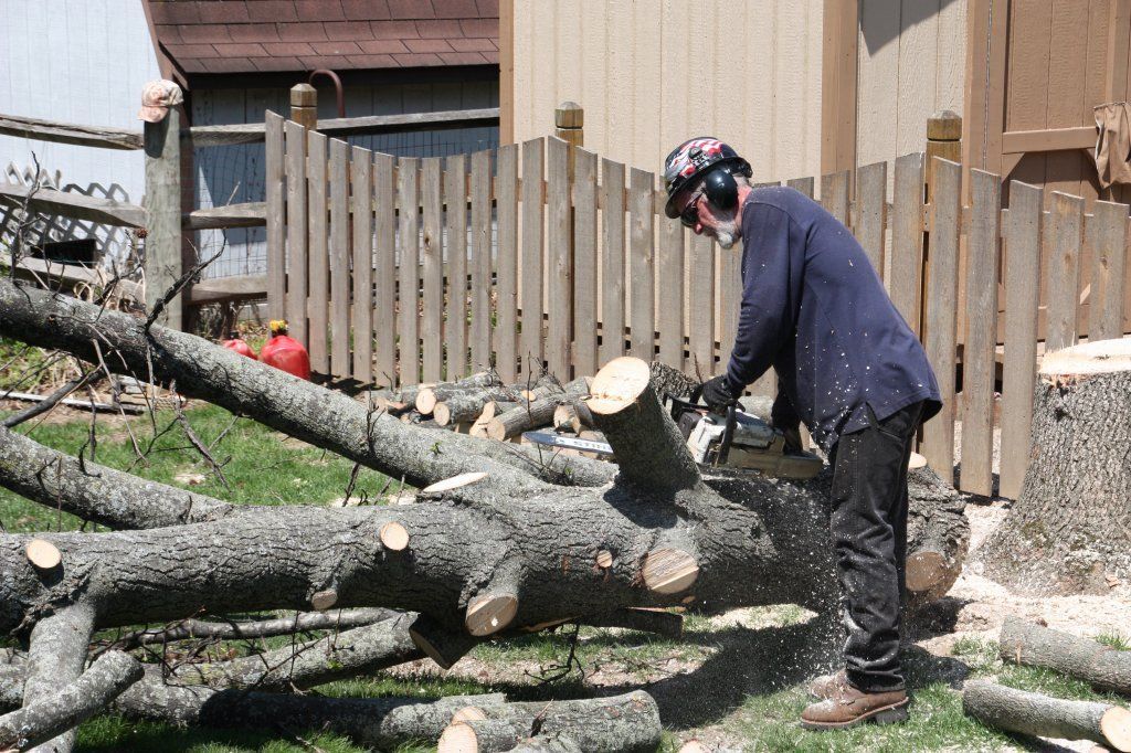 Huge Tree Trunk — Westerville, OH — W. E. Miller Tree Service