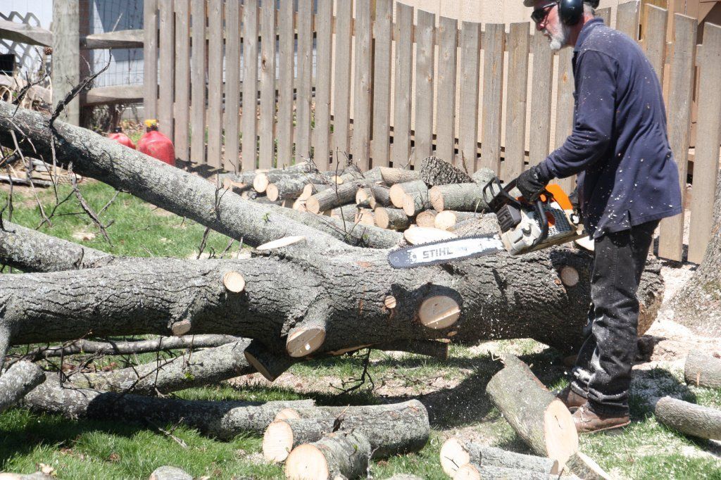 Tree Trunks — Westerville, OH — W. E. Miller Tree Service
