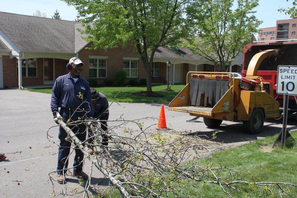 Man Holding Tree Branch — Westerville, OH — W. E. Miller Tree Service