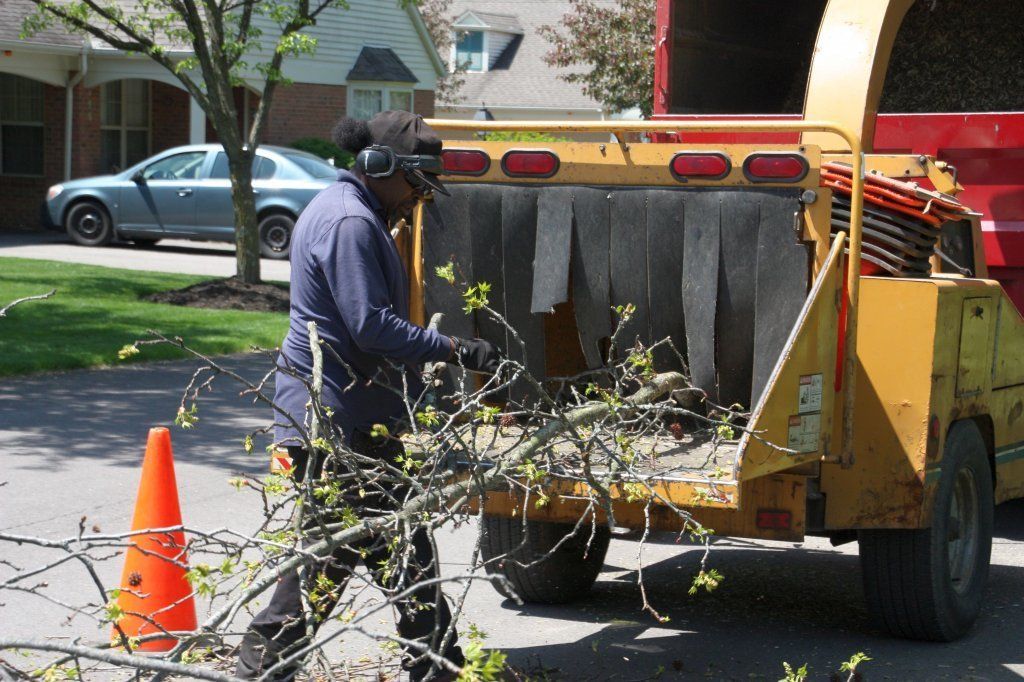 Grinding Tree Branches — Westerville, OH — W. E. Miller Tree Service