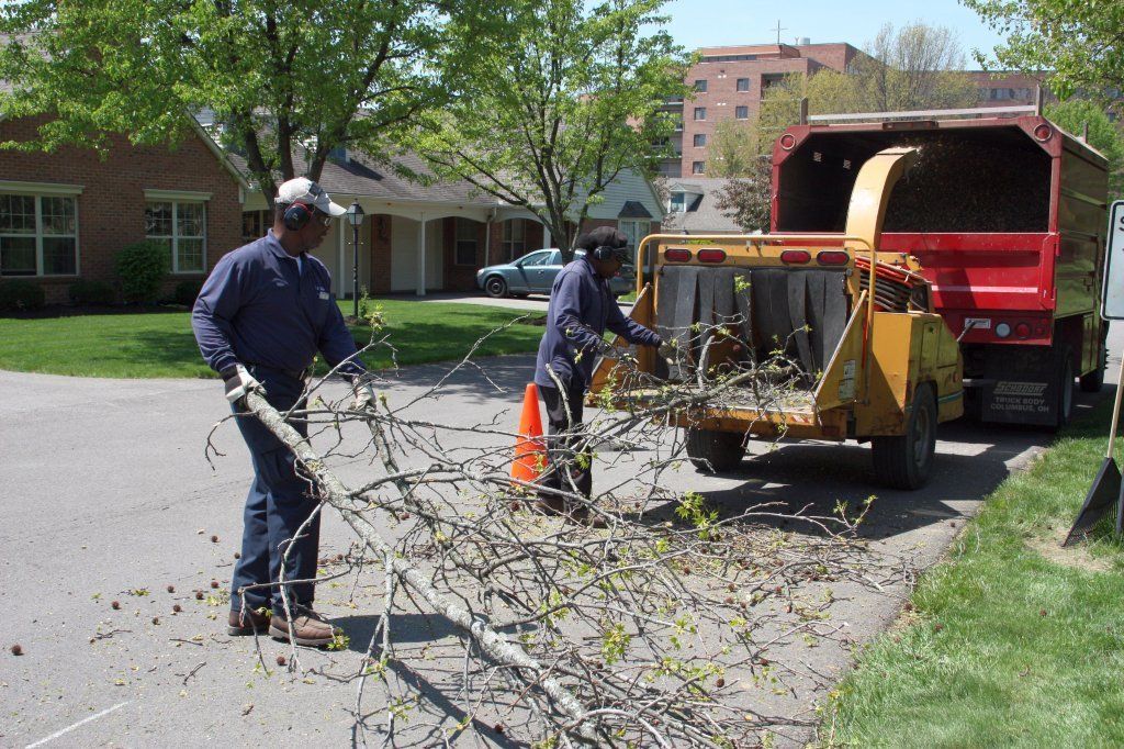 Holding Tree Branch — Westerville, OH — W. E. Miller Tree Service