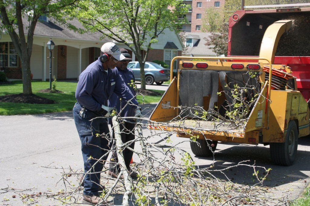 Man Removed A Tree Branch — Westerville, OH — W. E. Miller Tree Service