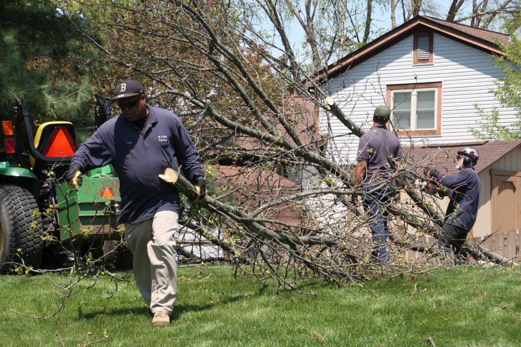Man Holding Removed Tree Branch — Westerville, OH — W. E. Miller Tree Service