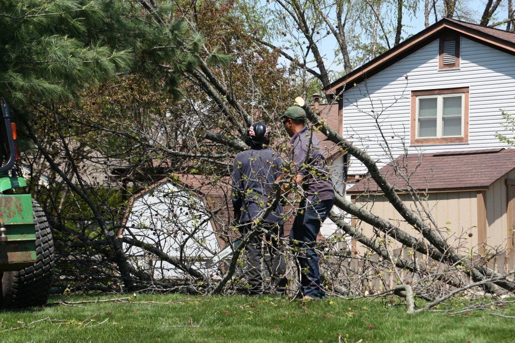 Tree Removers — Westerville, OH — W. E. Miller Tree Service