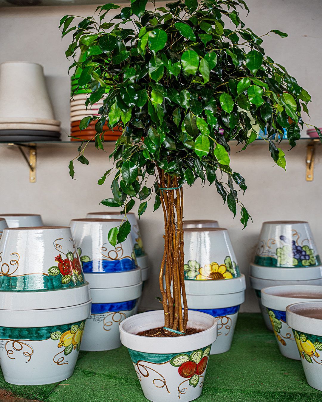 Albero artificiale in vaso circondato da vasi di fiori in ceramica dipinta su uno scaffale.