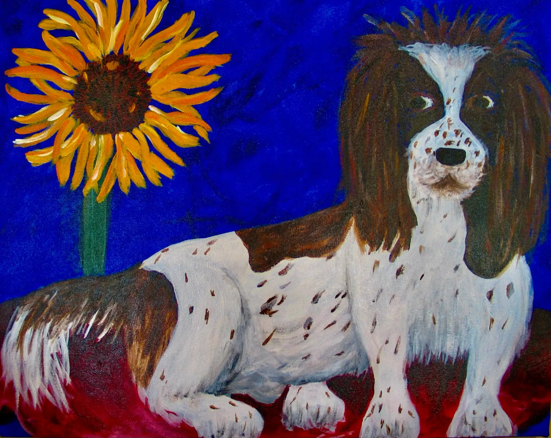 Dog with brown and white markings reclines in front of a sunflower on a blue background.