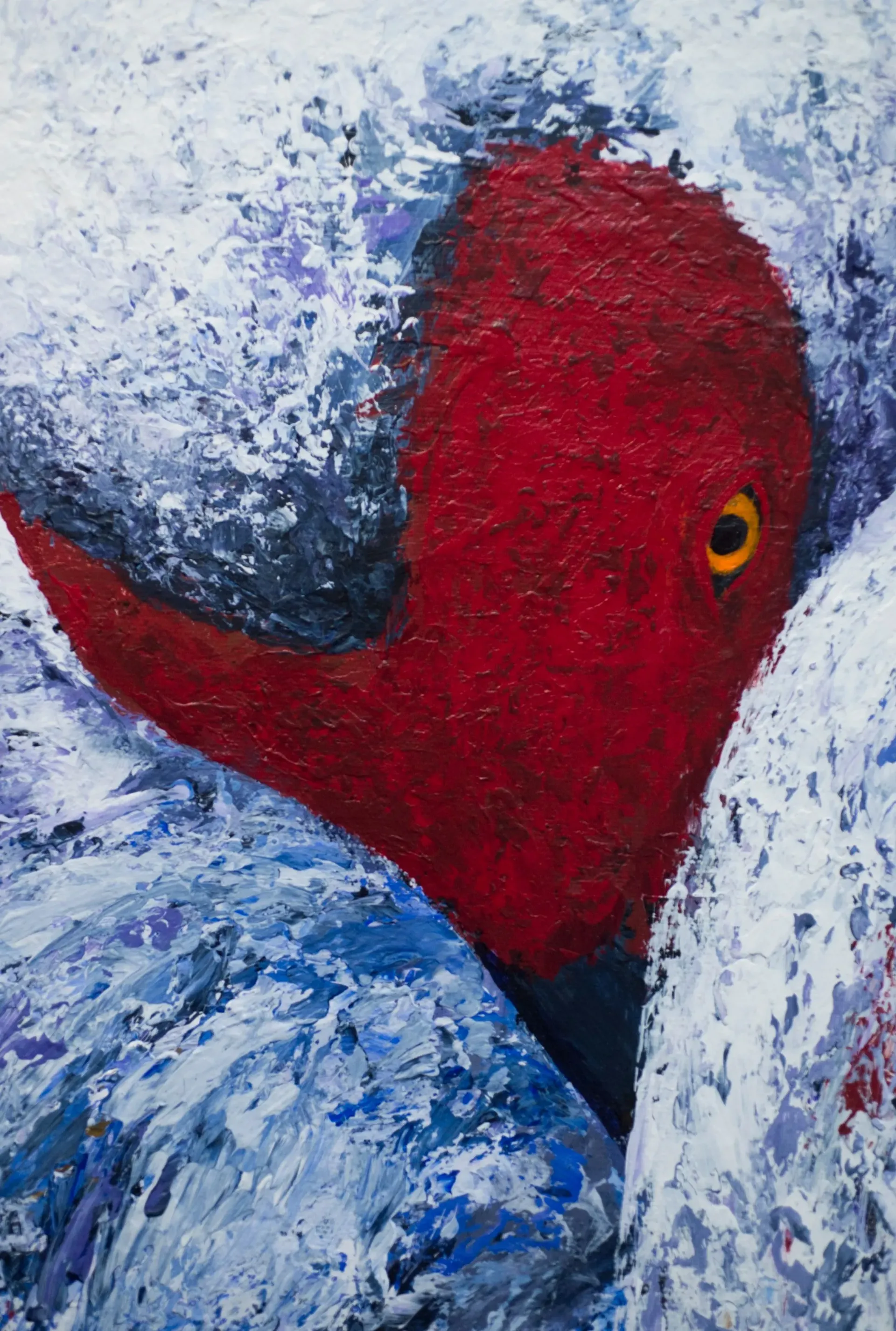 Red bird head with yellow eye peeking out from white and blue textured background.