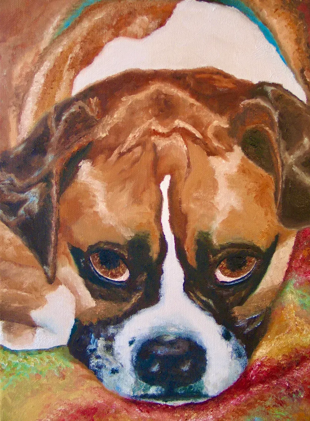 Brown and white dog with soulful brown eyes, resting on a colorful blanket.