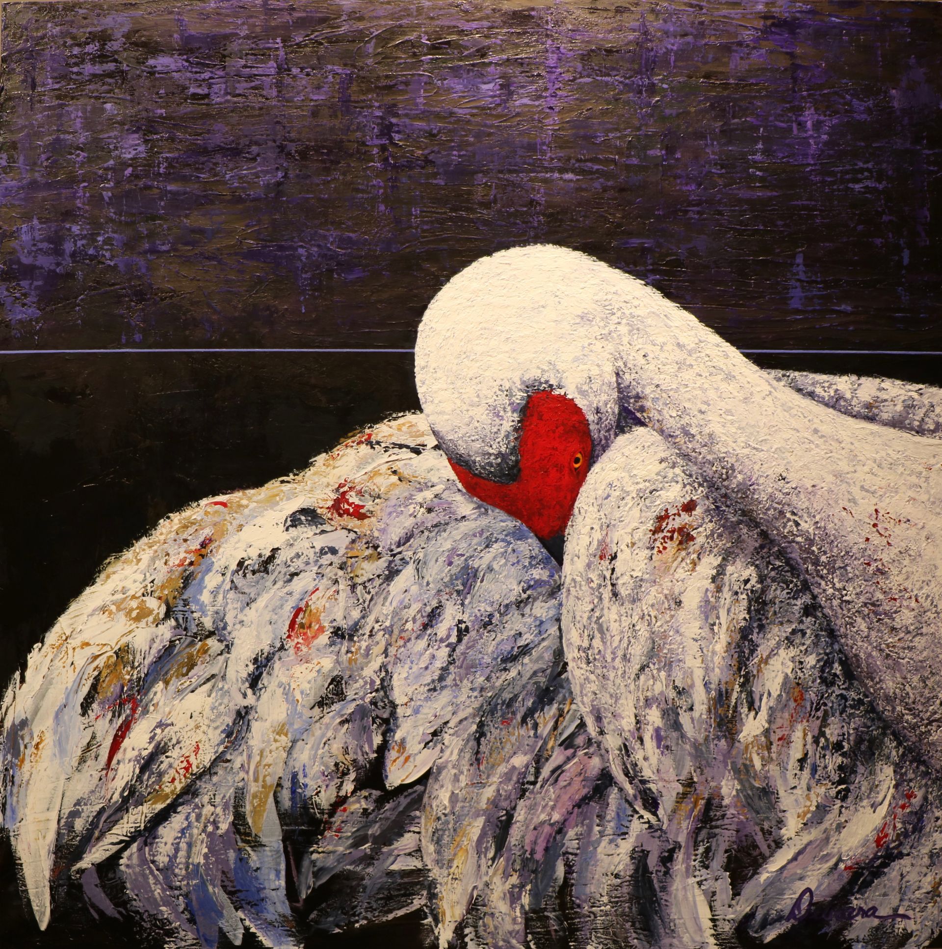 White swan with red beak nestled into its wings, against a dark, textured background.