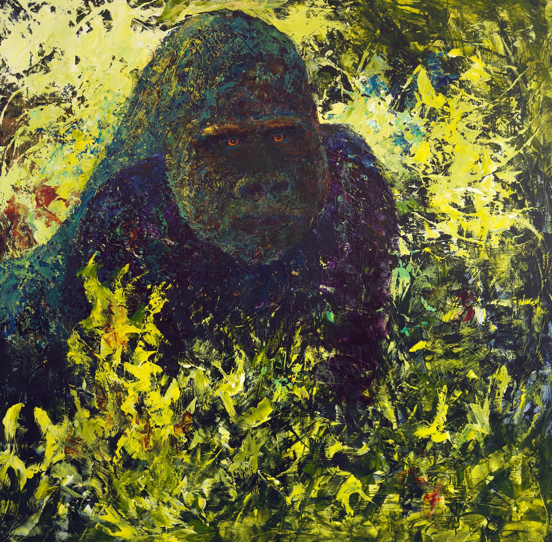Gorilla in dense green and yellow foliage, dark fur, intense gaze.