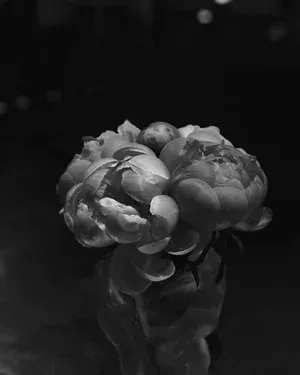 Black and white photo of a peony bouquet, tightly packed blooms, in a dark setting.