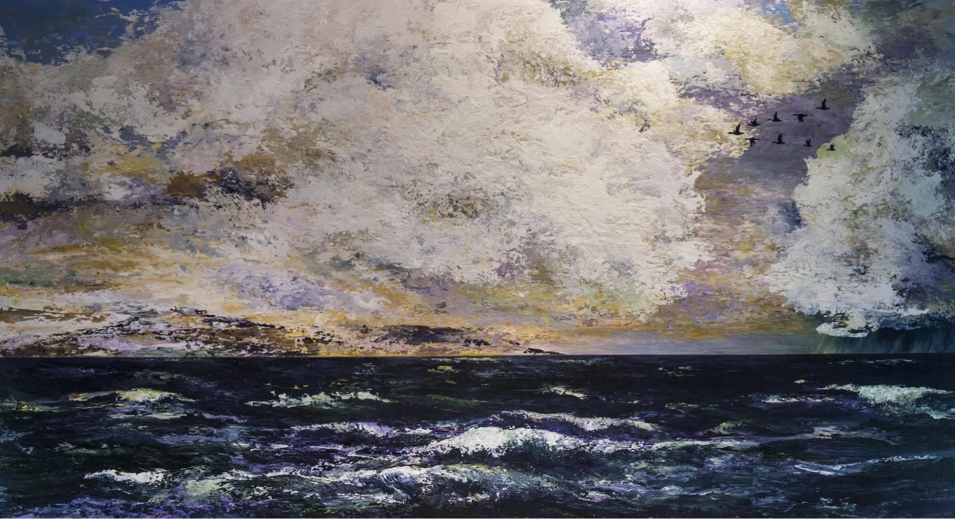 Ocean waves under a cloudy sky. A distant shoreline is visible. Birds fly across the sky.