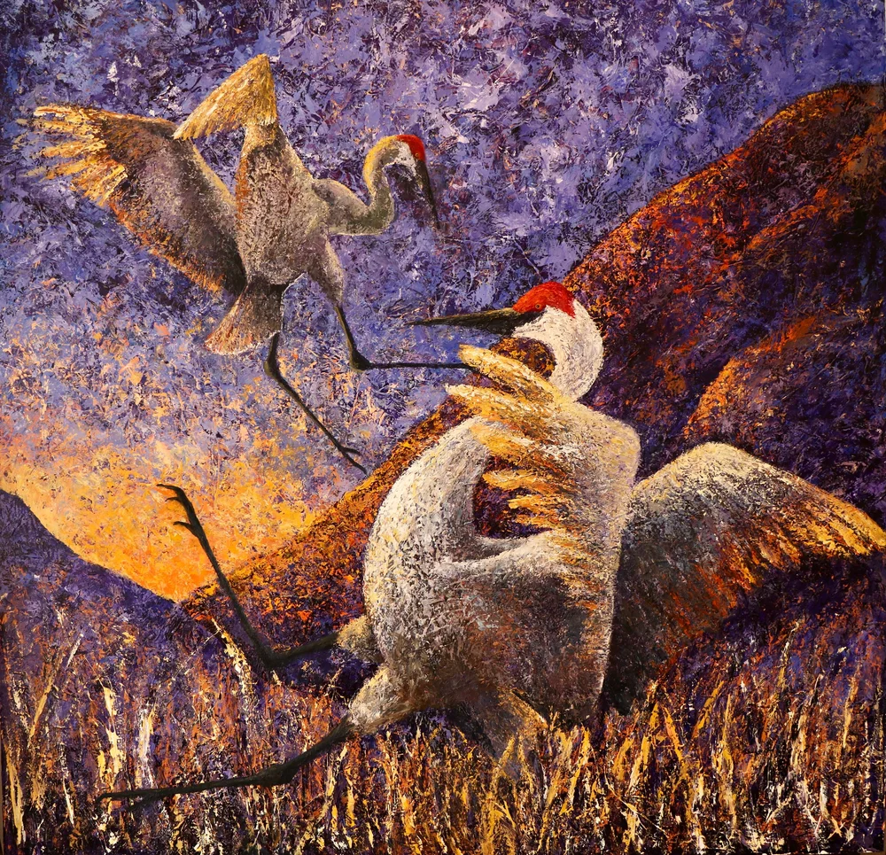 Two Sandhill cranes in a grassy field, wings spread, facing each other with a purple-toned background.