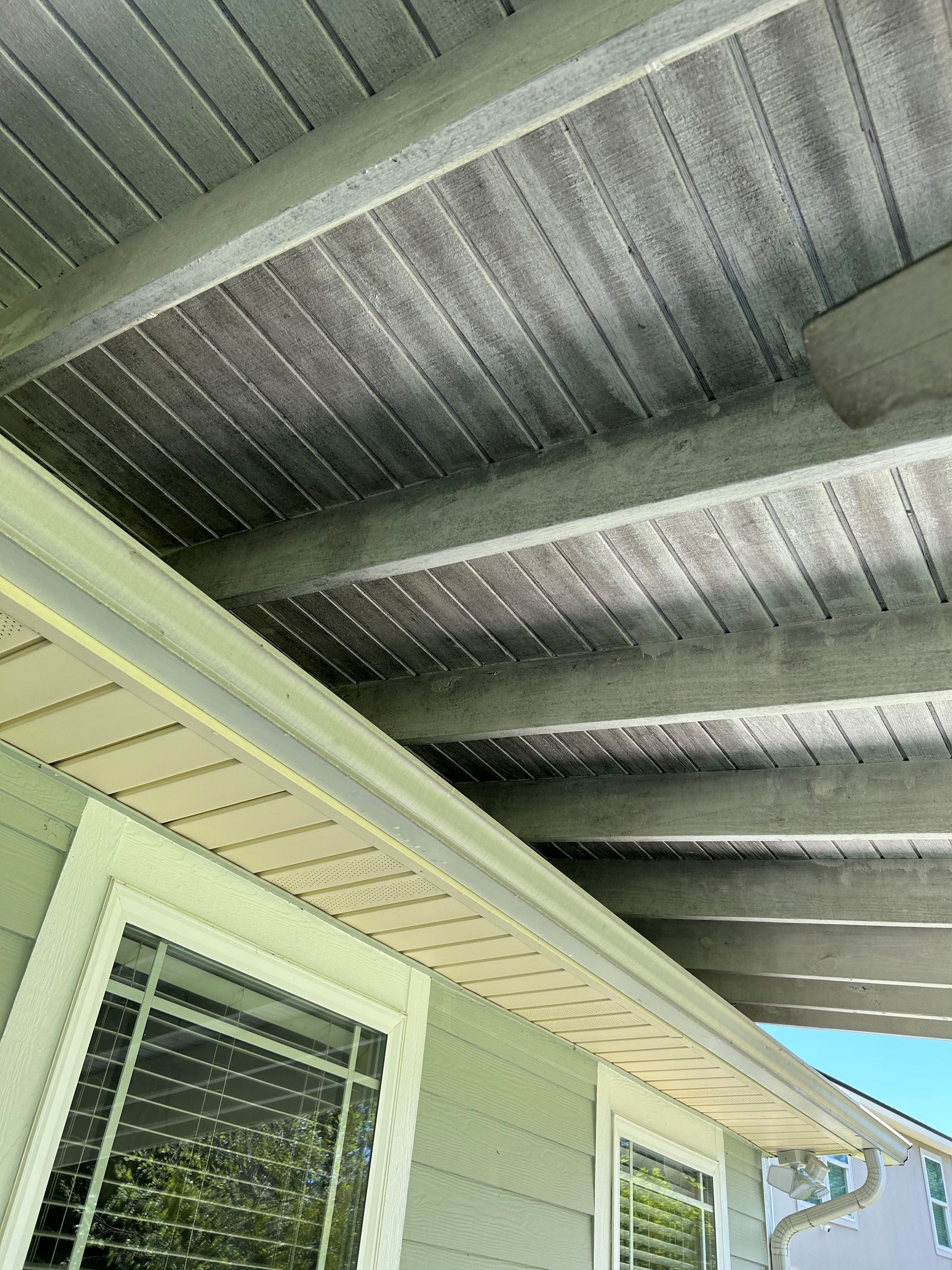 Ceiling of a porch covered in dark mold and mildew.
