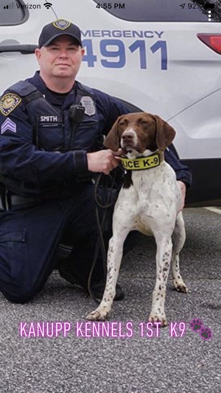 Dog Gallery Hickory, NC Kanupp Kennels