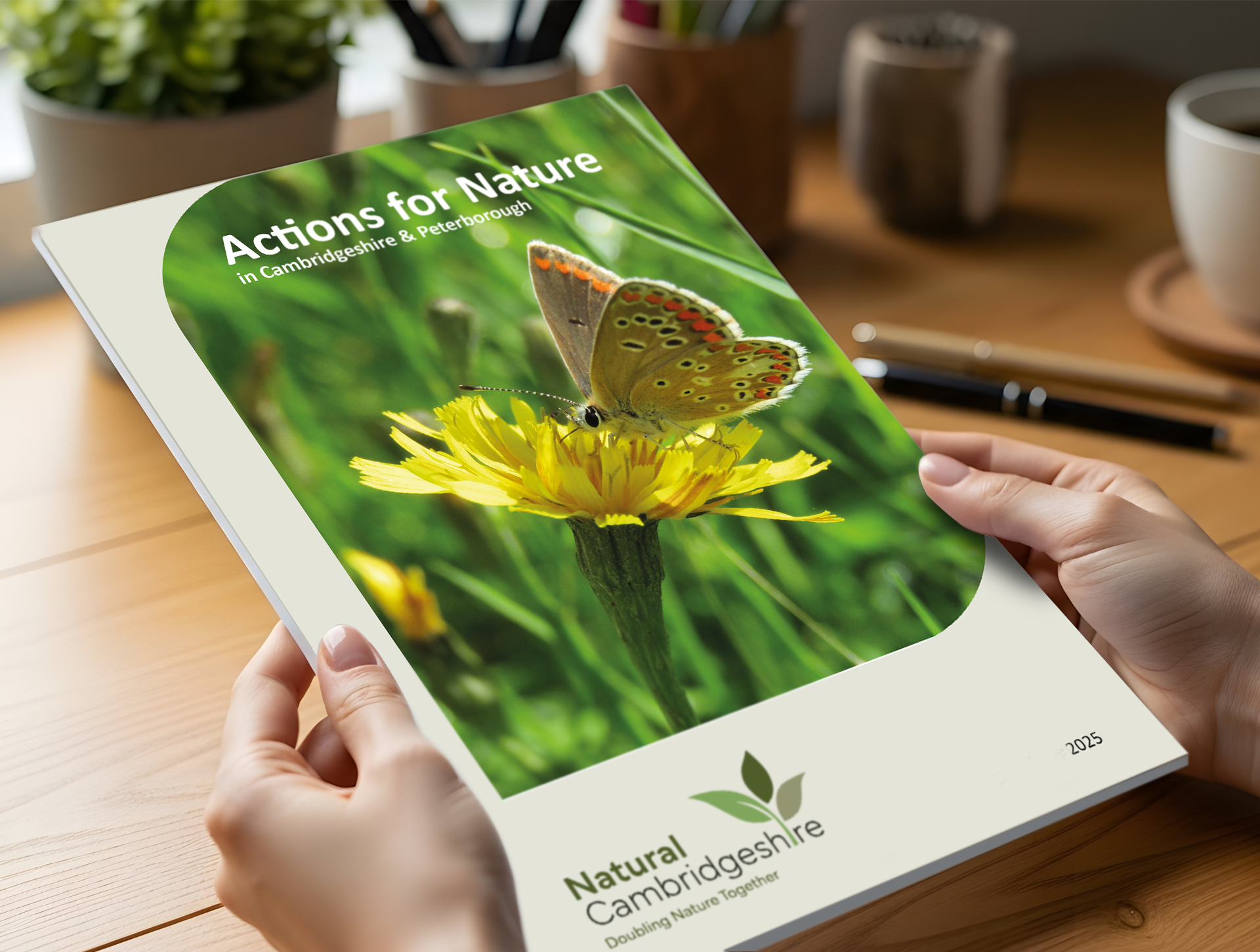 Logo for Natural Cambridgeshire, text and leaves graphic: green, light green, grey on white background.