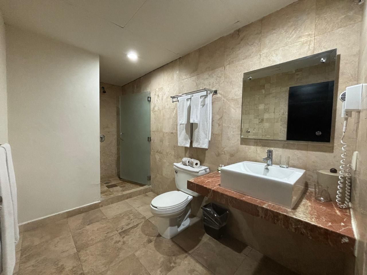 Un baño con inodoro, lavabo, espejo y ducha.