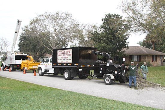 Tree Removal Vehicle | Malabar, FL | Quality Tree Experts Inc.