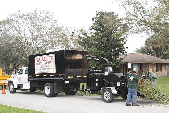 Wood Chipper Truck | Malabar, FL | Quality Tree Experts Inc.